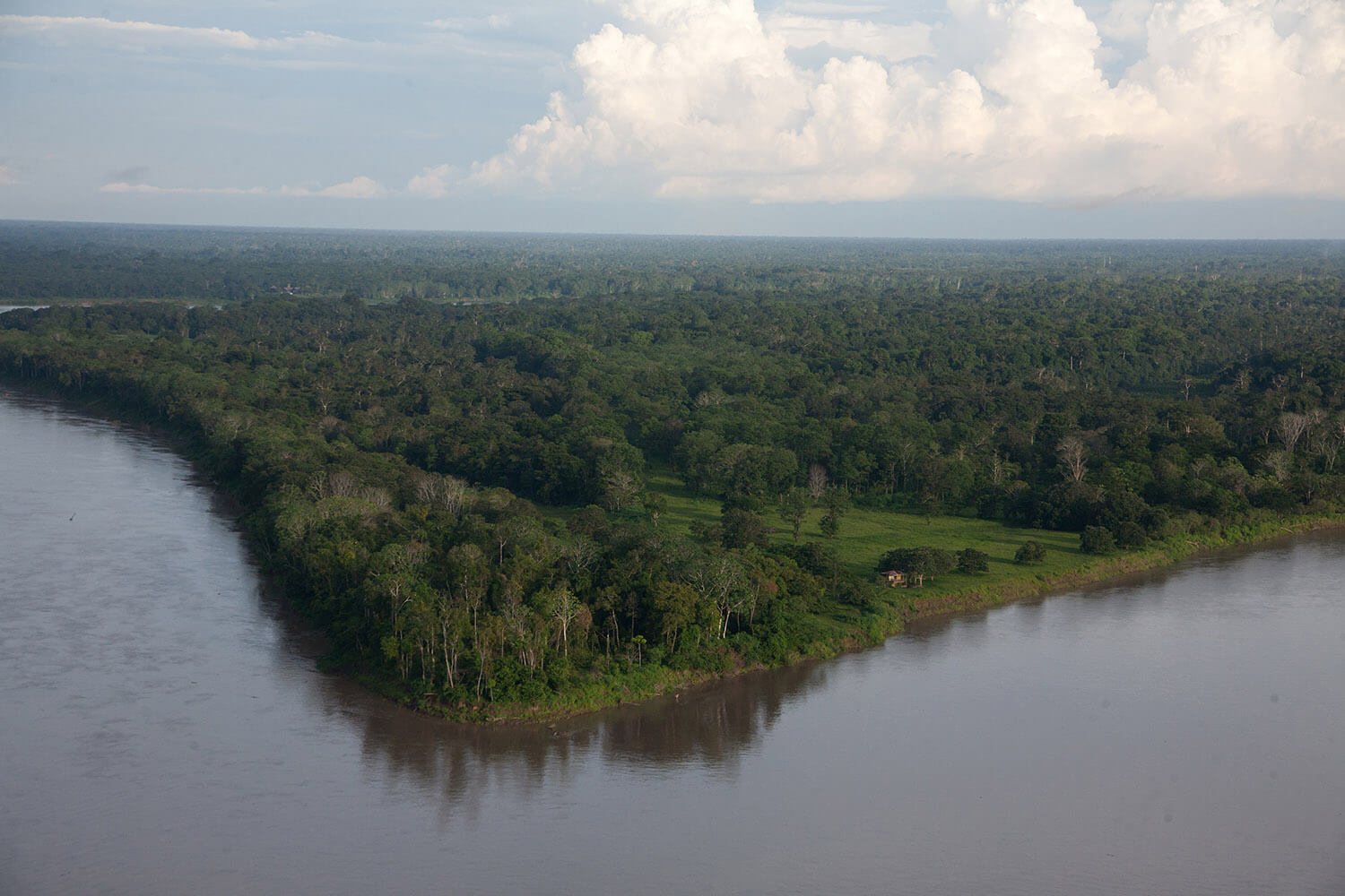 10AMAZONAS slider 8_MG_9911.jpg